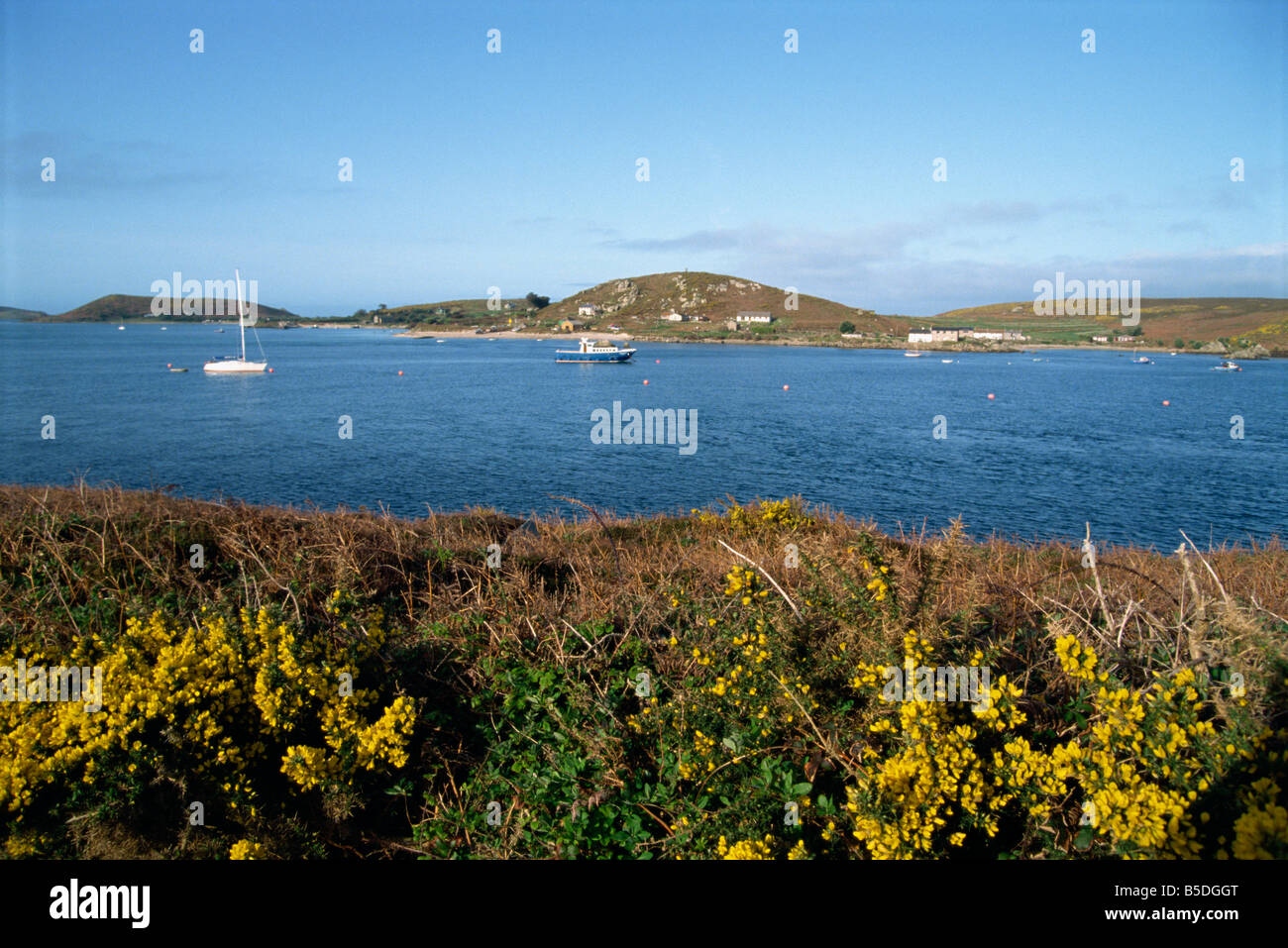 Bryer Isles of Scilly England Europa Stockfoto