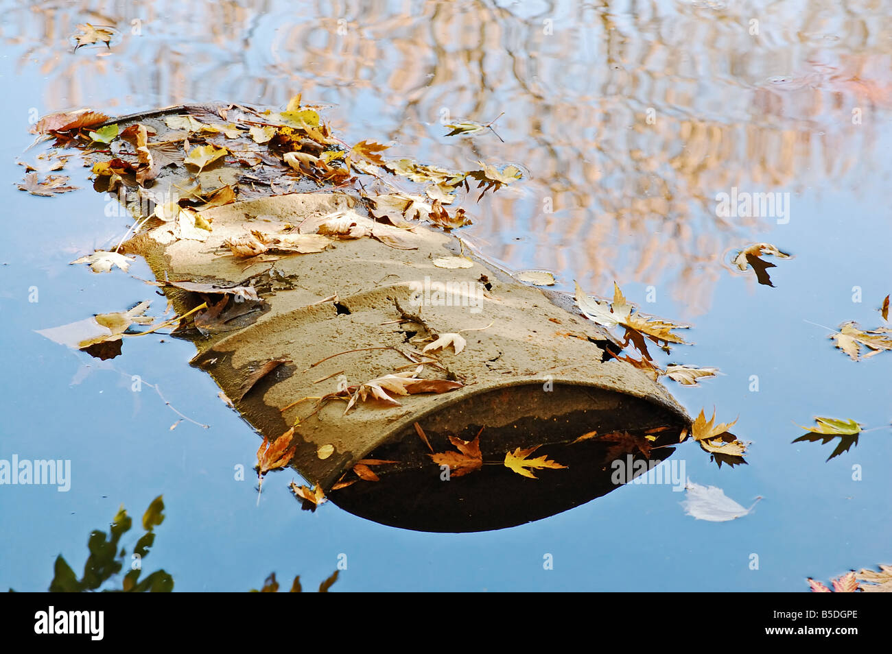 Lauf in einem friedlichen Fluss Verschmutzung verrotten. Stockfoto