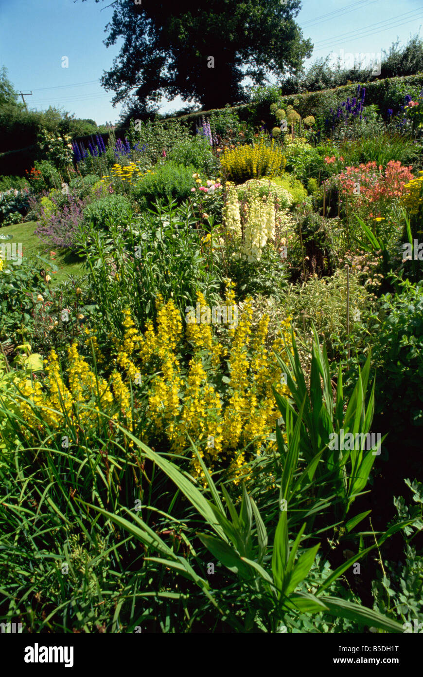 Garten Oxfordshire-England-Großbritannien-Europa Stockfoto