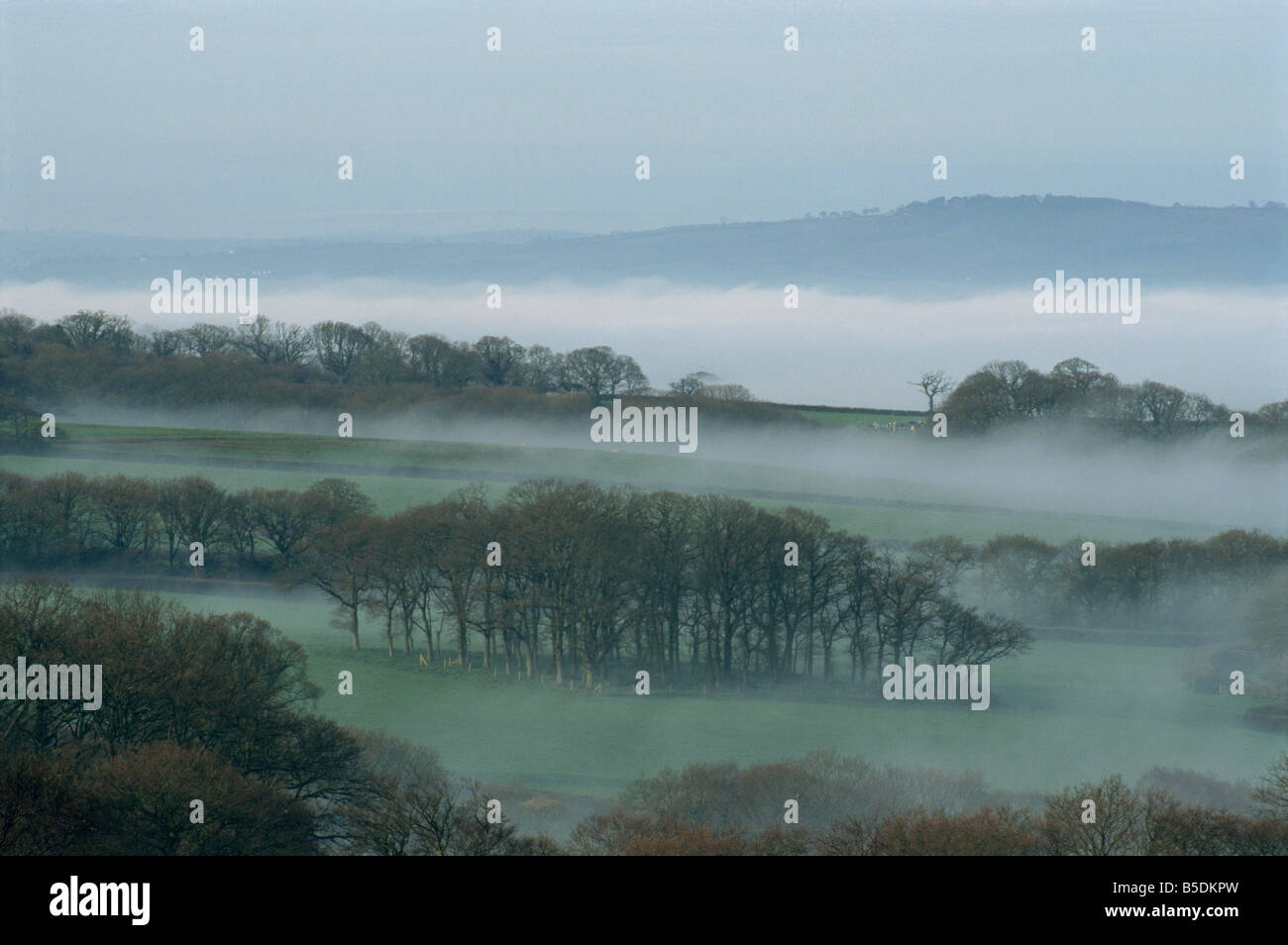 Nebel füllt die Wiesen im April in Devon England M H schwarz Stockfoto