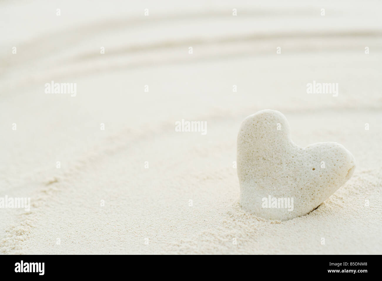 Herzförmige Korallen im Sand stecken Stockfoto