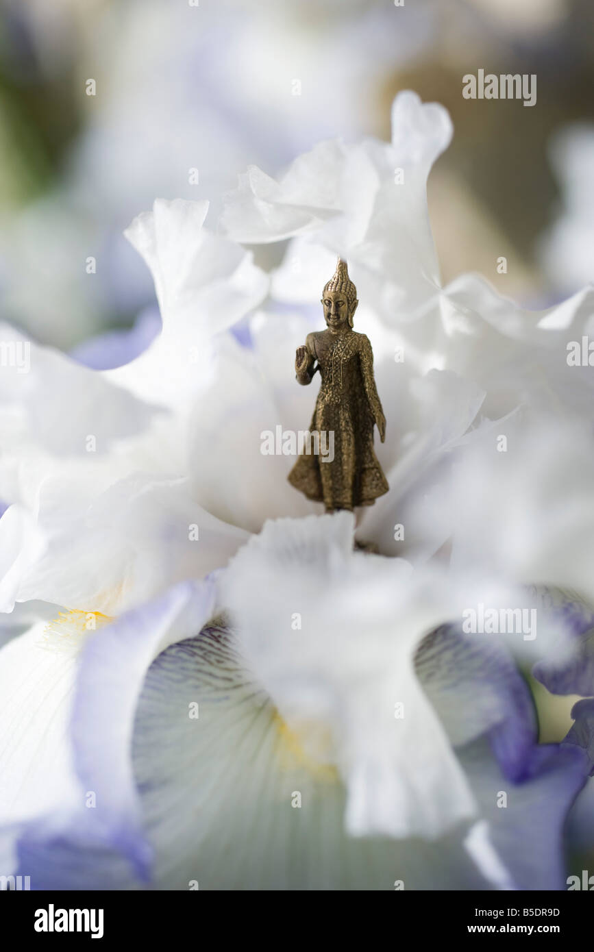 Miniatur Buddha Figur stehen im Zentrum der iris Stockfoto