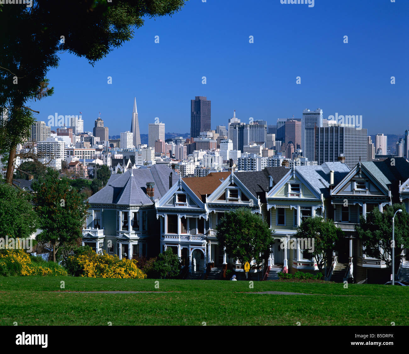 Alte Häuser, bekannt als der Painted Ladies an der Steiner Street mit der Skyline der Stadt im Hintergrund in San Franciso Kalifornien Stockfoto