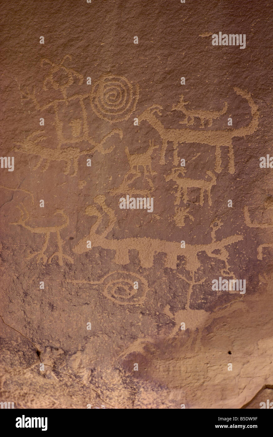 Petroglyphen Chaco Canyon National Monument New Mexiko Vereinigte Staaten von Amerika Nordamerika Stockfoto