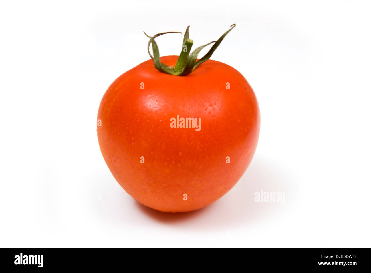 Rote Tomate isoliert auf einem weißen Studio-Hintergrund. Stockfoto