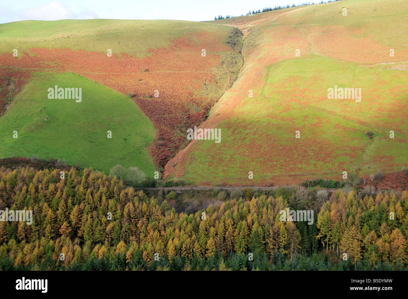 Herzen von Wales Railway Line Runnibng durch die Cambrian Mountains im Herbst Wales Stockfoto