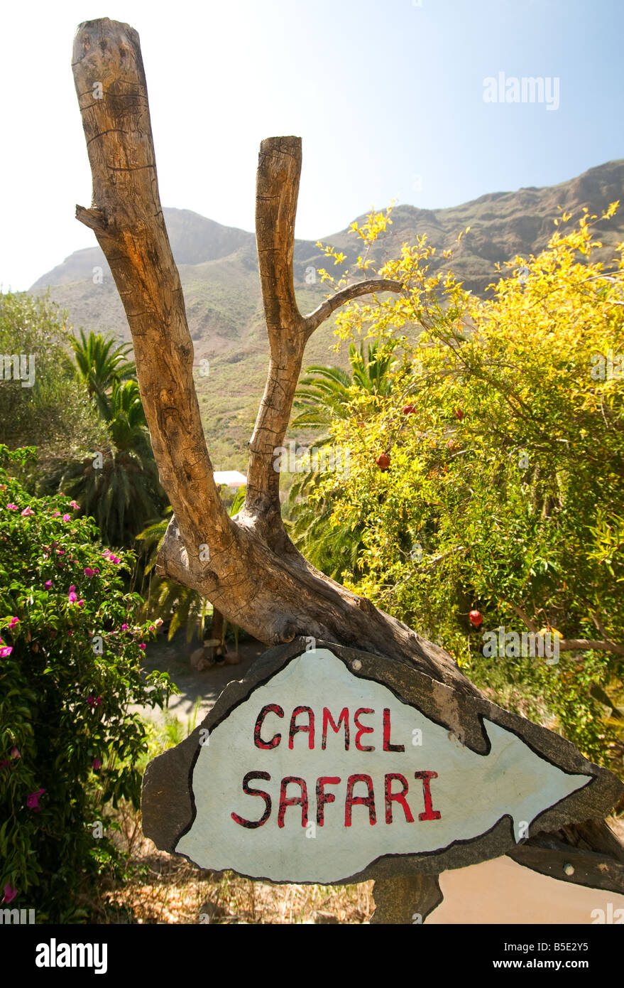 CAMEL SAFARI unterzeichnen einen rustikalen Werbung sign typische Kamel Safari in den Bergen von Gran Canaria Kanarische Inseln Spanien Stockfoto
