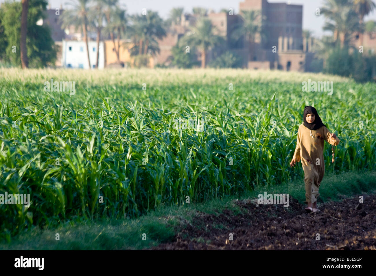 Muslimisches Mädchen in einem Feld in Luxor Ägypten Stockfoto