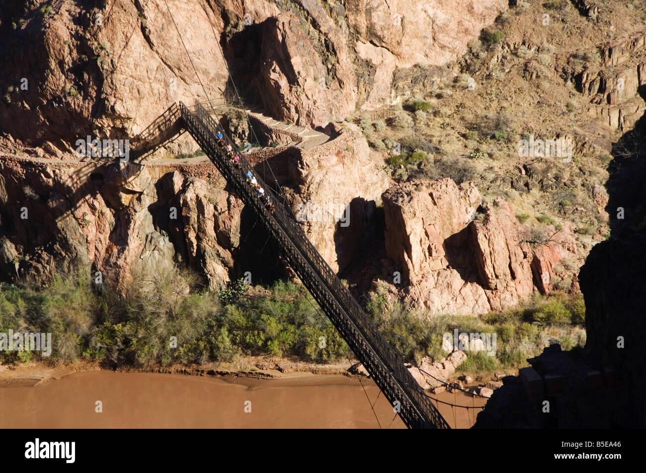 Pferde und Touristen über eine Hängebrücke über den Colorado River im Grand Canyon National Park, Arizona, USA Stockfoto