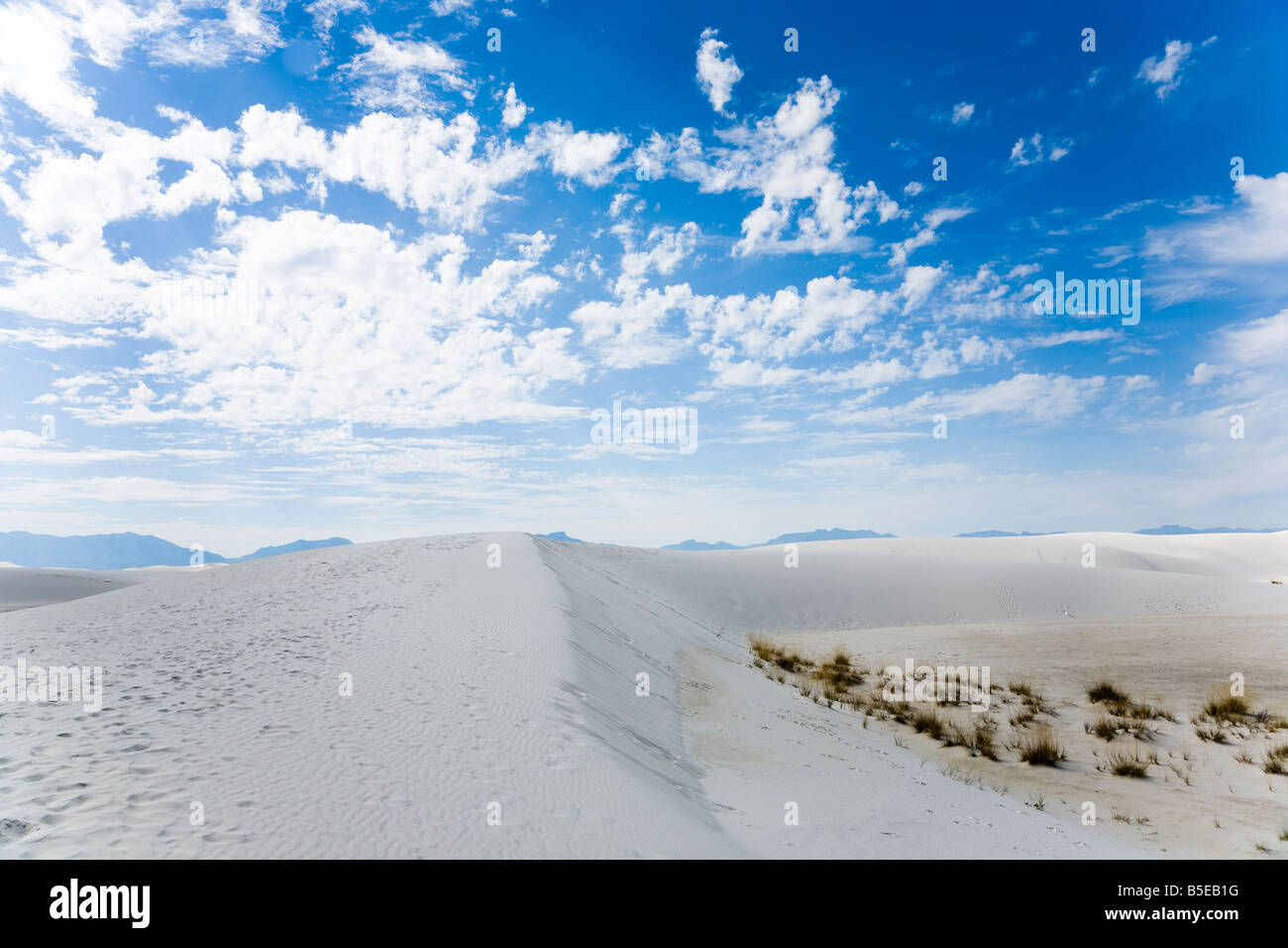 White Sands National Monument in New Mexico, USA Stockfoto