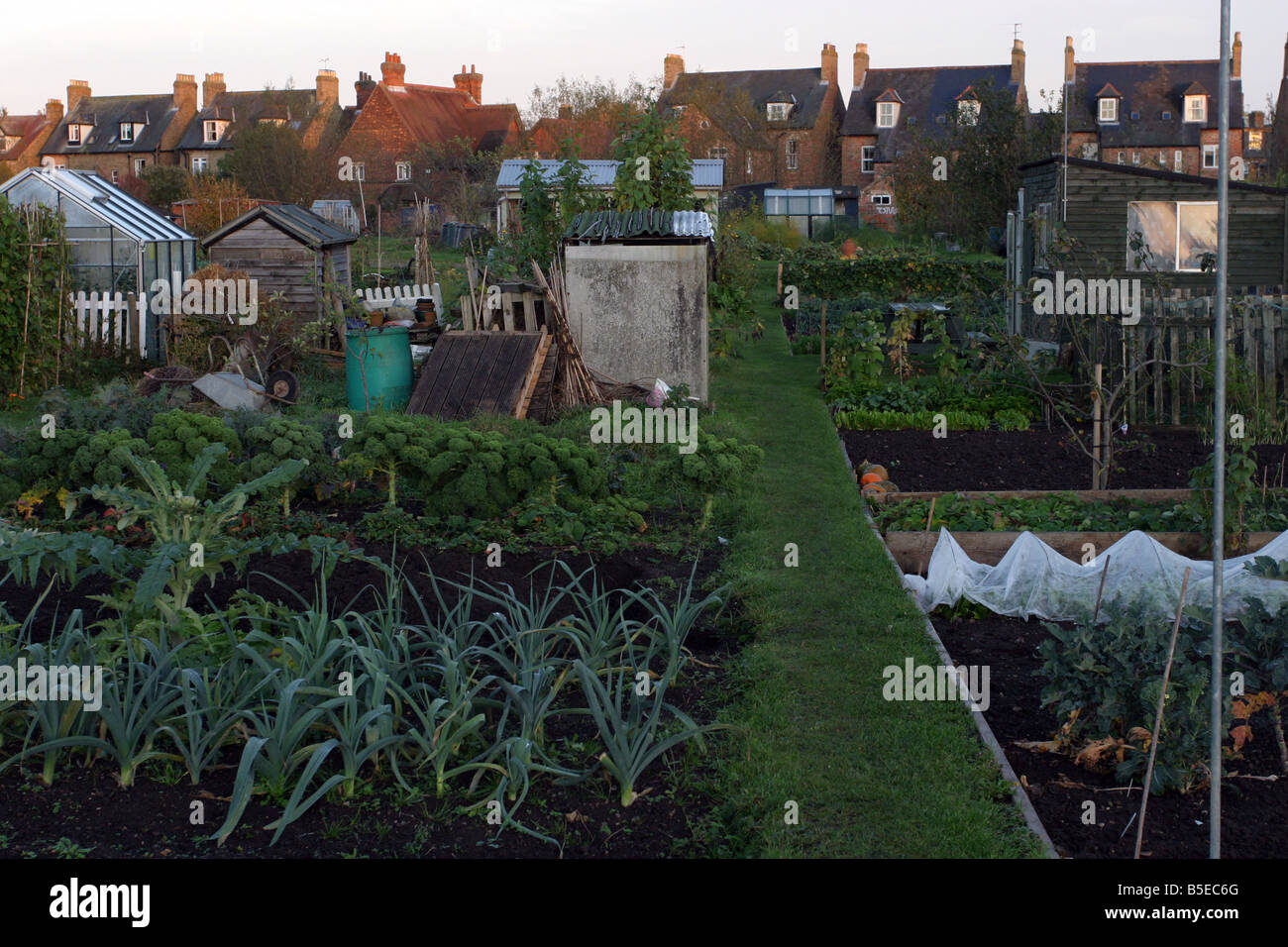 Zuteilung Plot Stockfoto