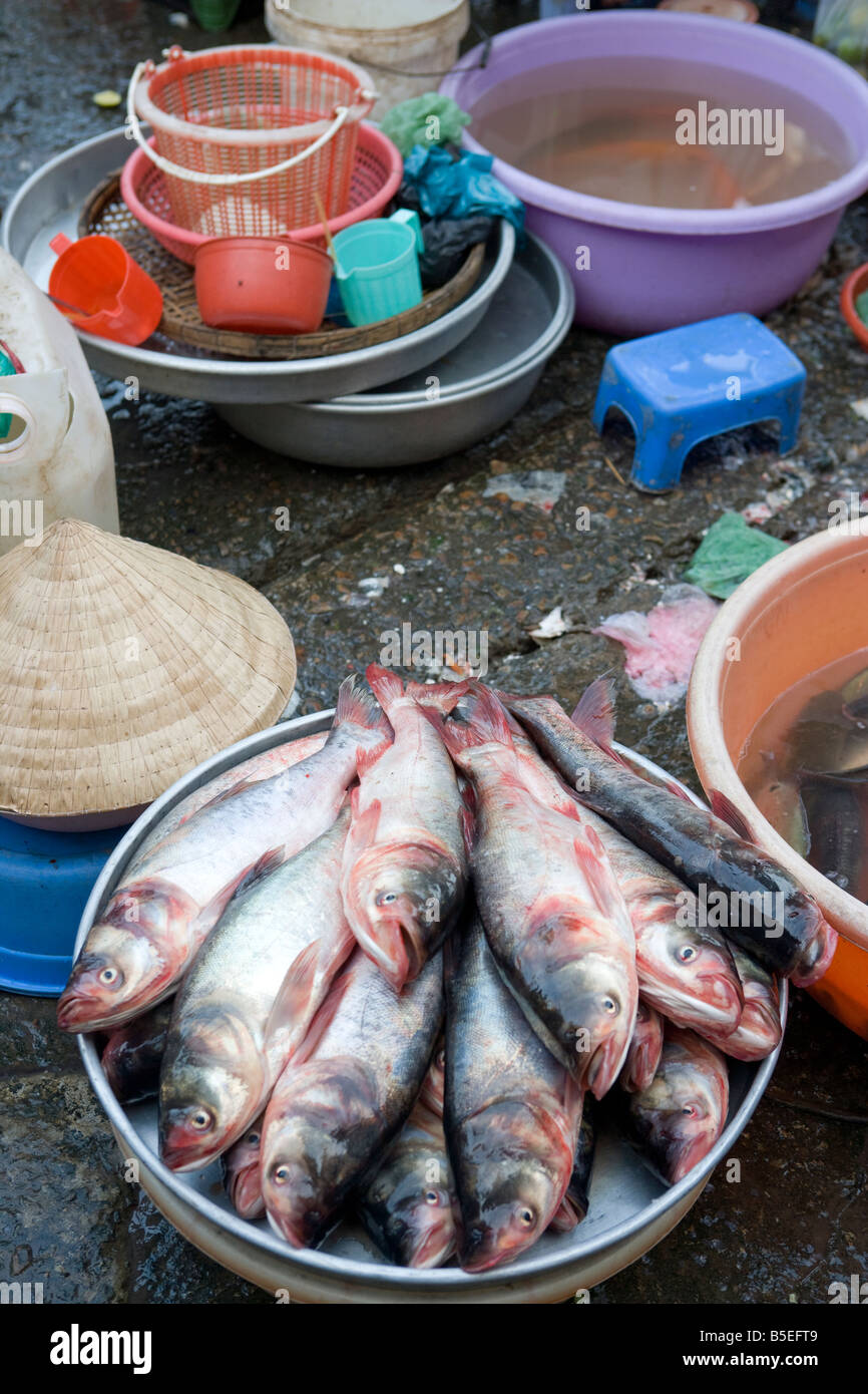 Fisch zum Verkauf auf Markt in Ho-Chi-Minh-Stadt-Vietnam Stockfoto