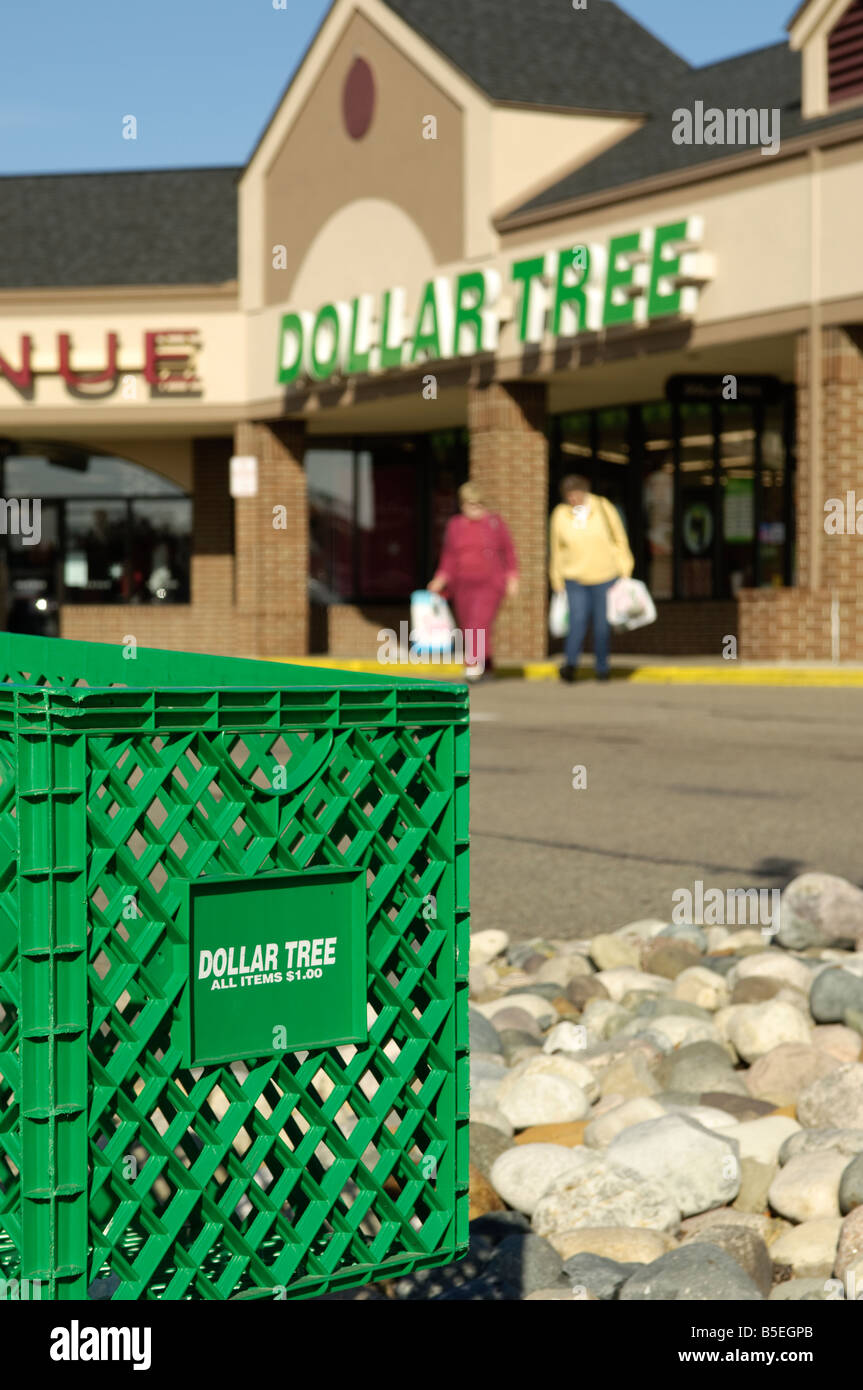 Dollar Tree Warenkorb und laden in Rochester, Michigan USA Stockfoto