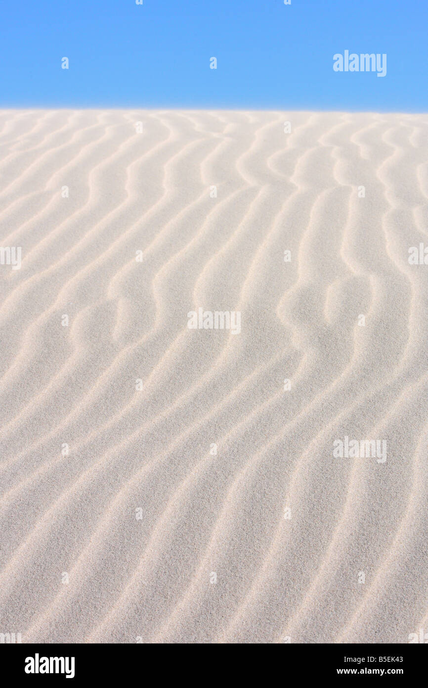 Wind geblasen Sand Muster - De Hoop Nature Reserve, Western Cape, Südafrika Stockfoto