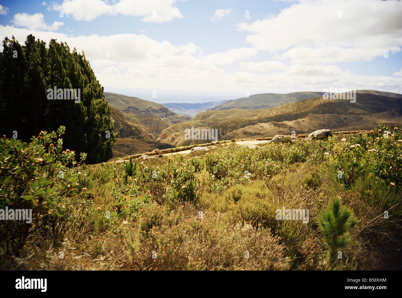 Südafrika, Western Cape, Swartberge Pass Stockfoto