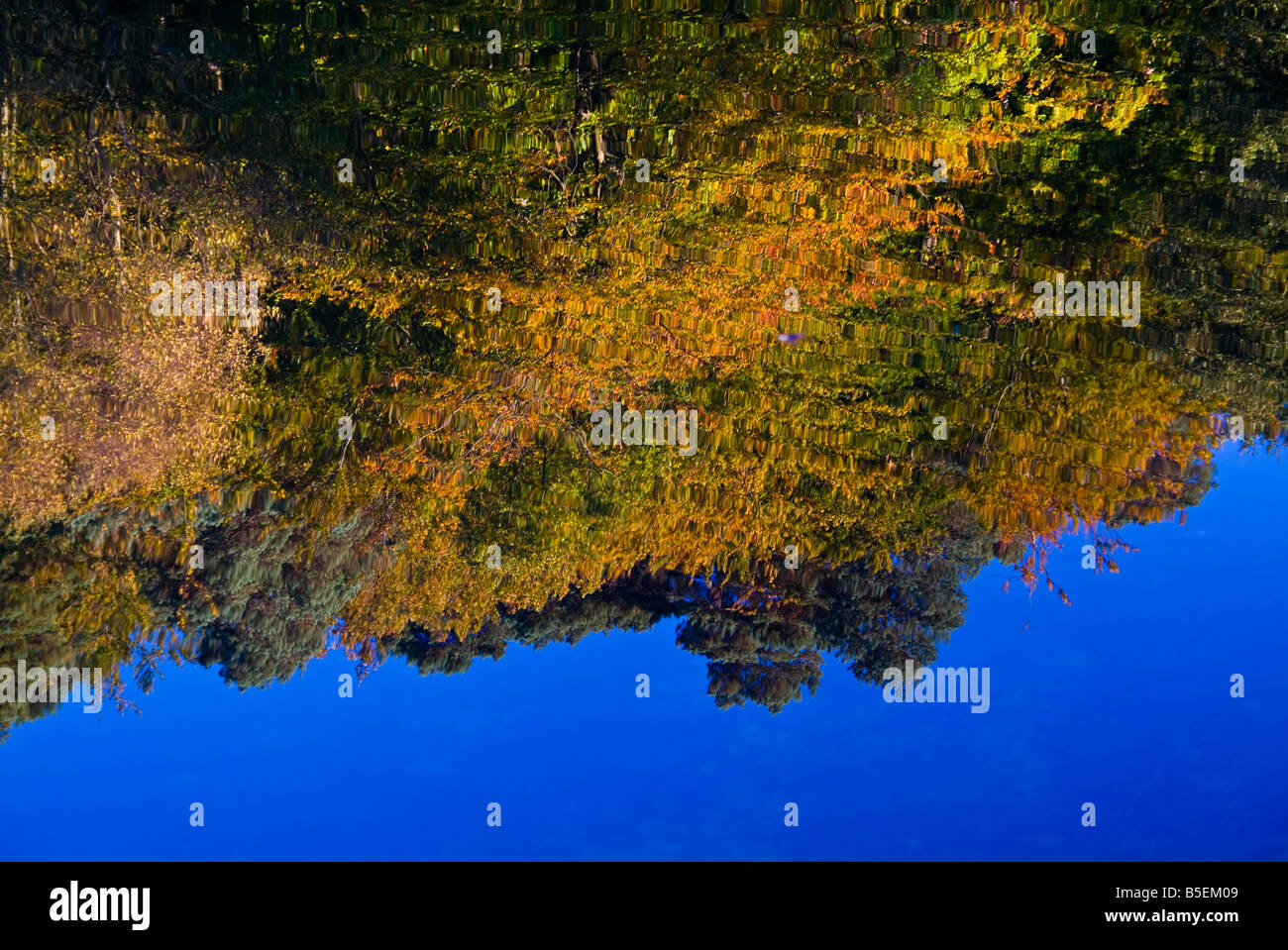 Herbst im Freitag Straße in der Nähe von Dorking, Surrey Stockfoto