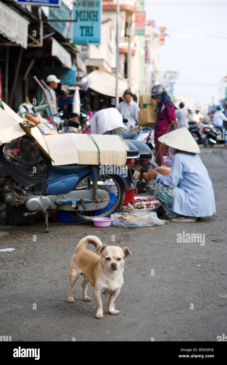Straßenszene in Ho-Chi-Minh-Stadt-Vietnam Stockfoto