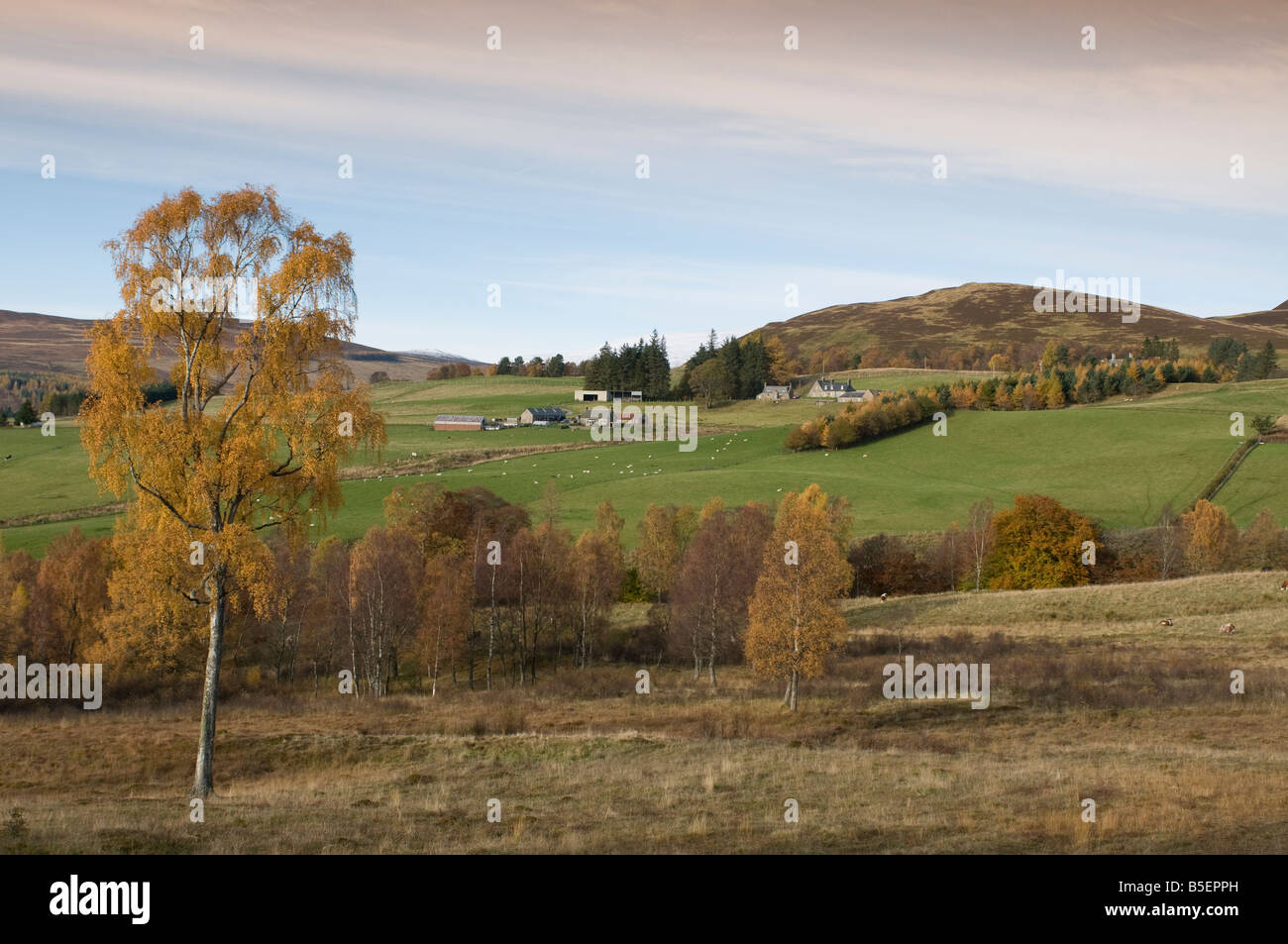 Tirinie, Lude in Glen Fender Blair Atholl Perthshire Region Tayside Schottland UK SCO 1121 Stockfoto