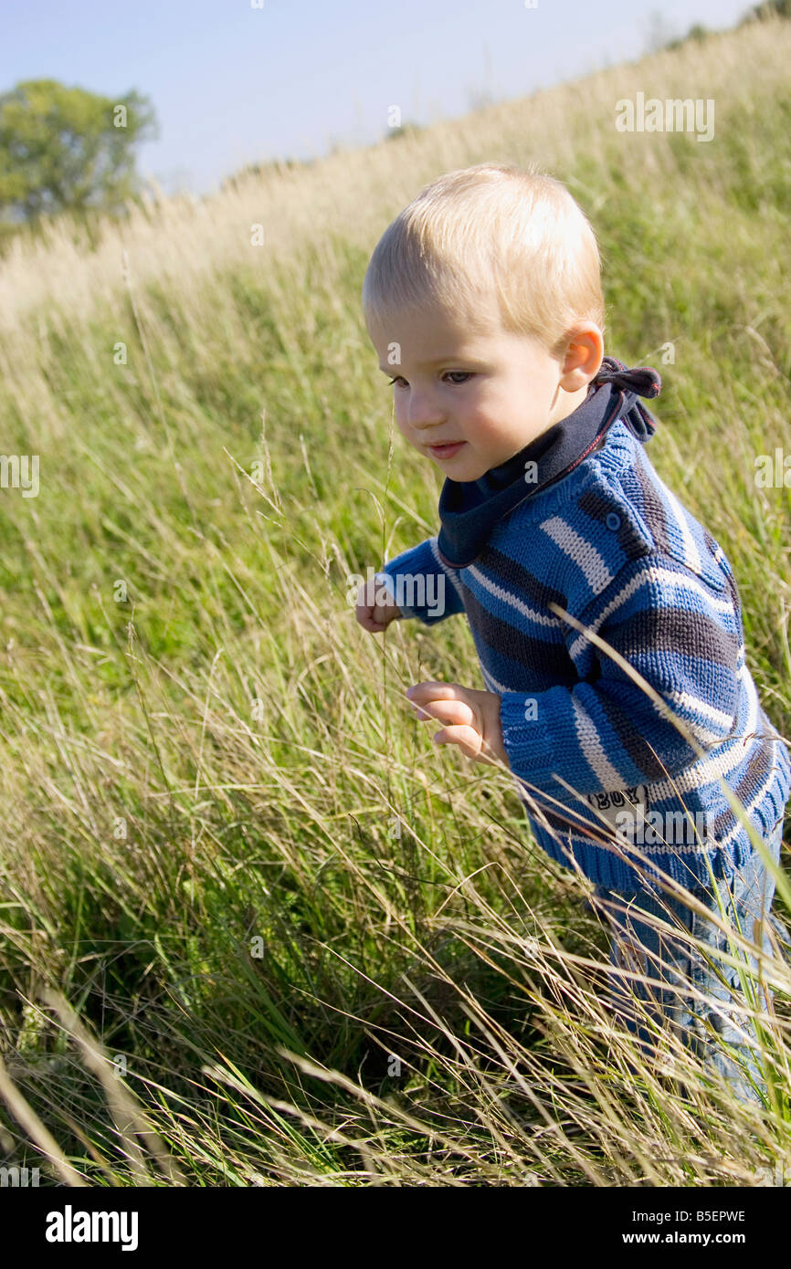 Kleiner Junge (1-2) zu Fuß auf der Wiese Stockfoto