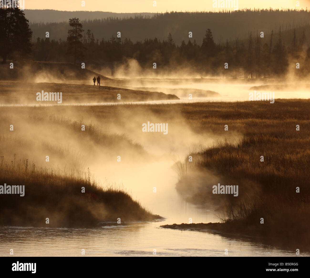 Misty Dawn Morgen, Madison River Valley, Yellowstone-Nationalpark, Wyoming Stockfoto