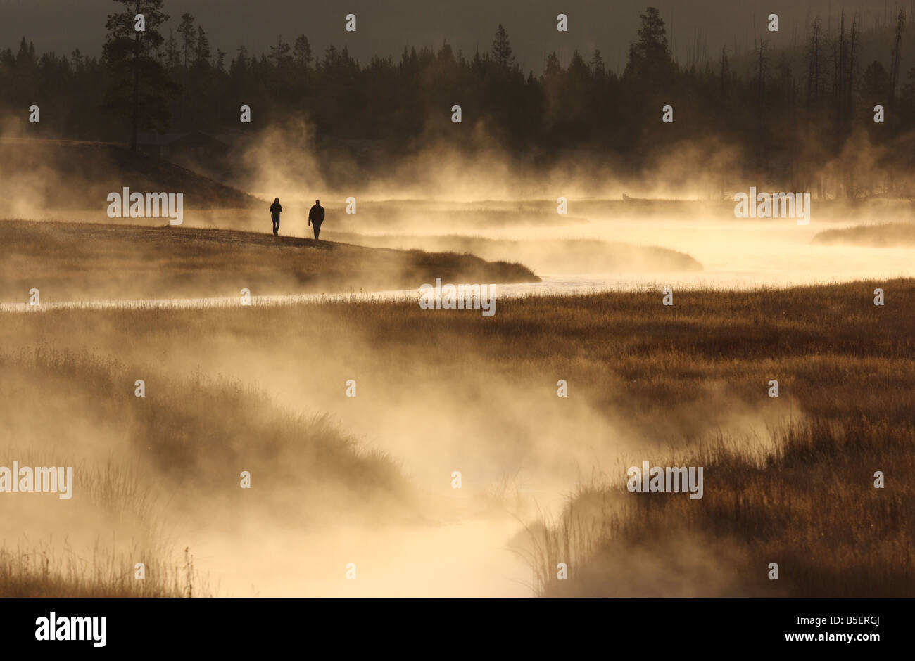 Misty Dawn Morgen, Madison River Valley, Yellowstone-Nationalpark, Wyoming Stockfoto