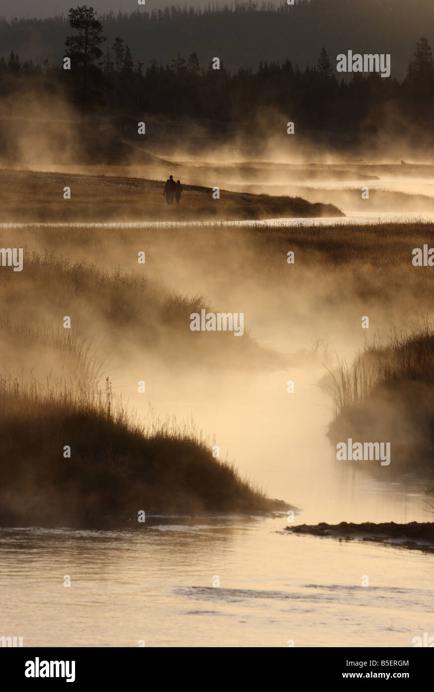 Misty Dawn Morgen, Madison River Valley, Yellowstone-Nationalpark, Wyoming Stockfoto