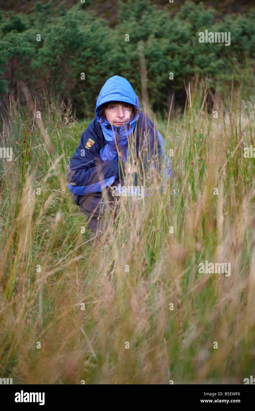 Frau hocken urinieren in der Wildnis versteckt sich hinter Grass Scotland UK im Herbst Stockfoto