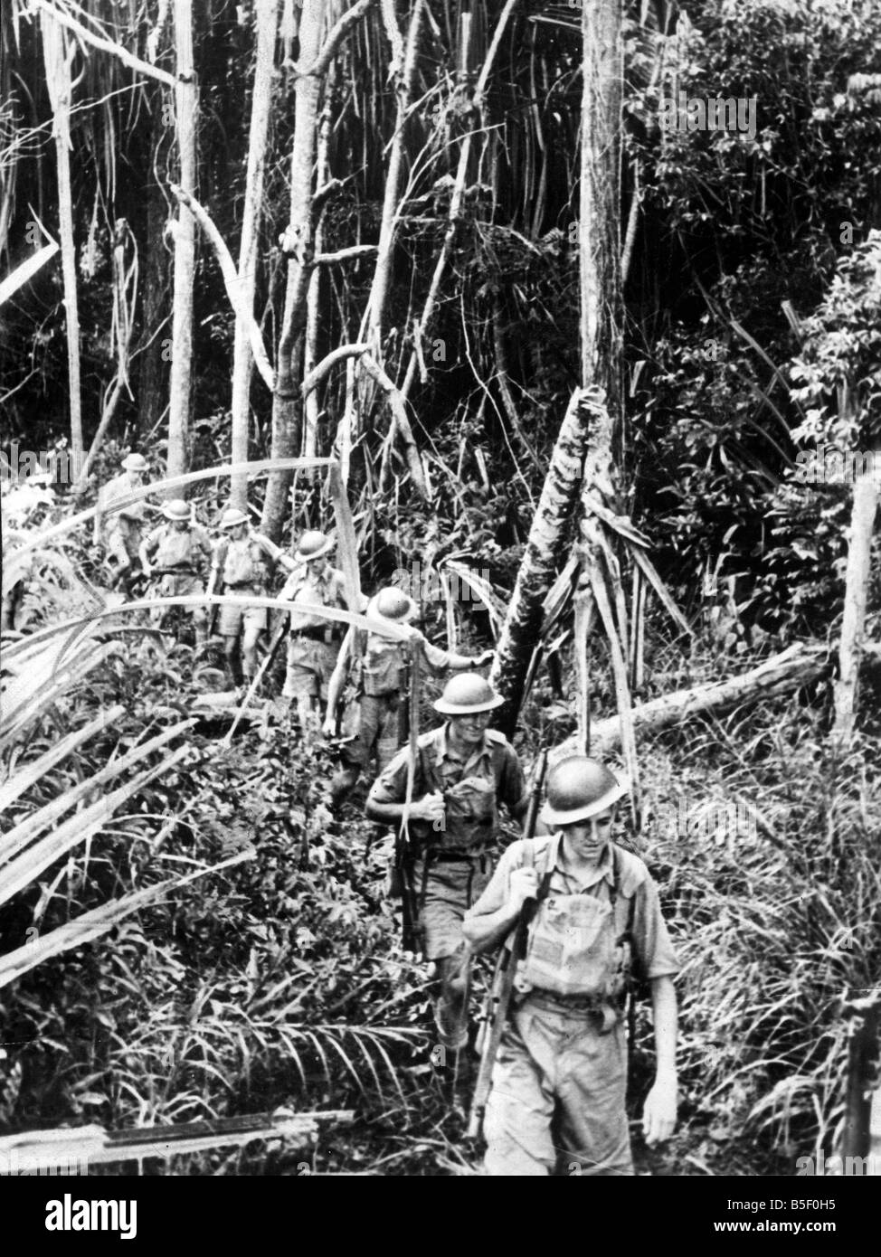 Australische imperiale Kräfte Training für malaiischen Dschungel Kriegsführung. AIF-Männer durch Pandanus Palmen Dschungel. 13. August 1941 Stockfoto