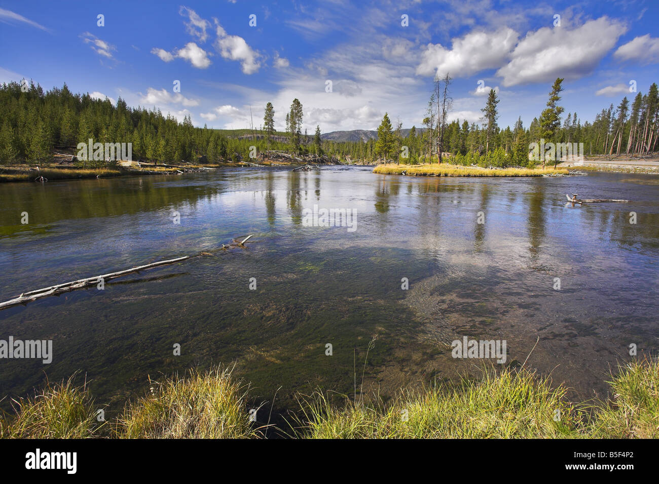 Der Fluss Gibbons es sanft im Yellowstone-Nationalpark gebogen Stockfoto