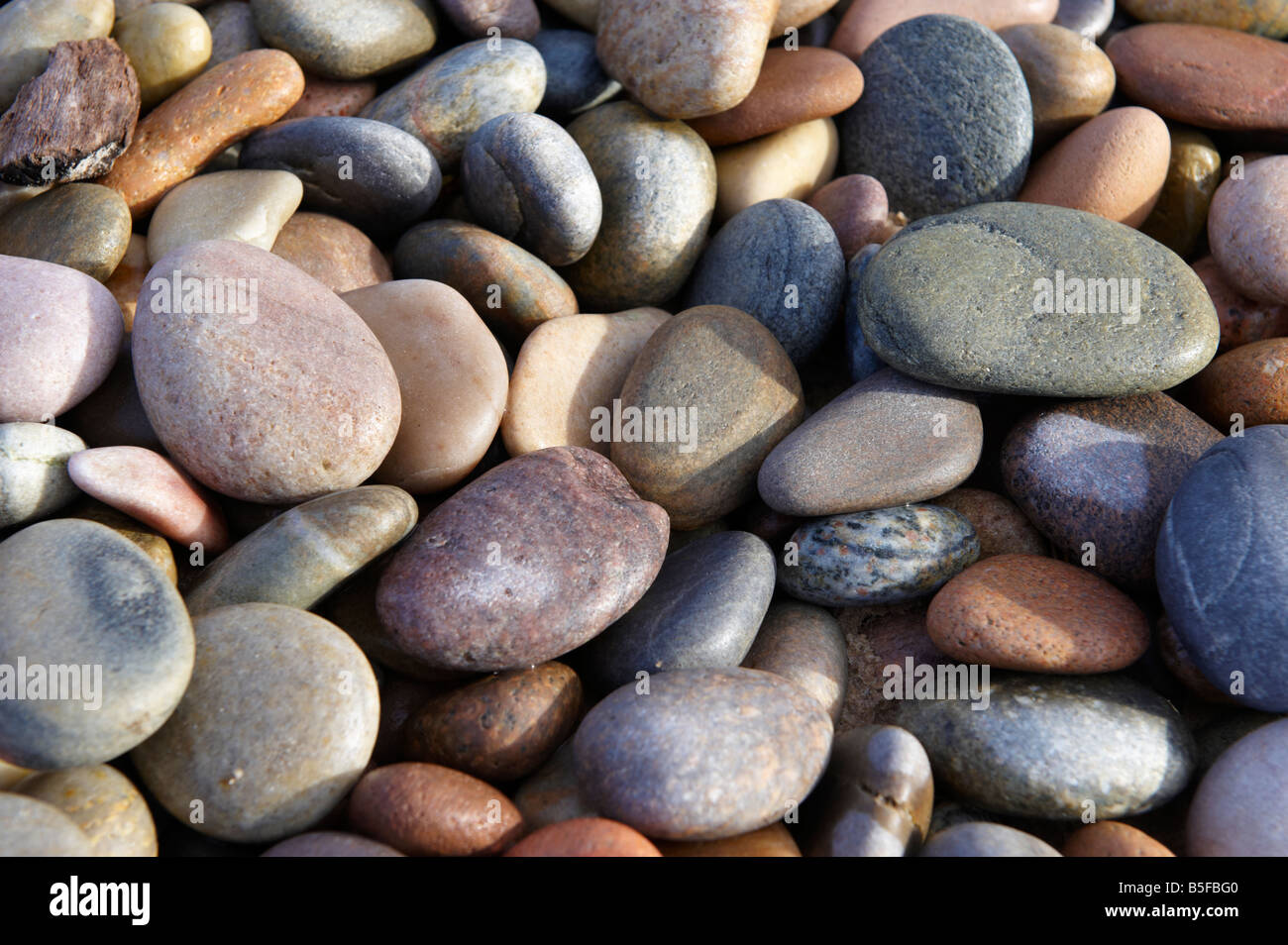 Kieselsteine am Strand Schottland, Vereinigtes Königreich Stockfoto