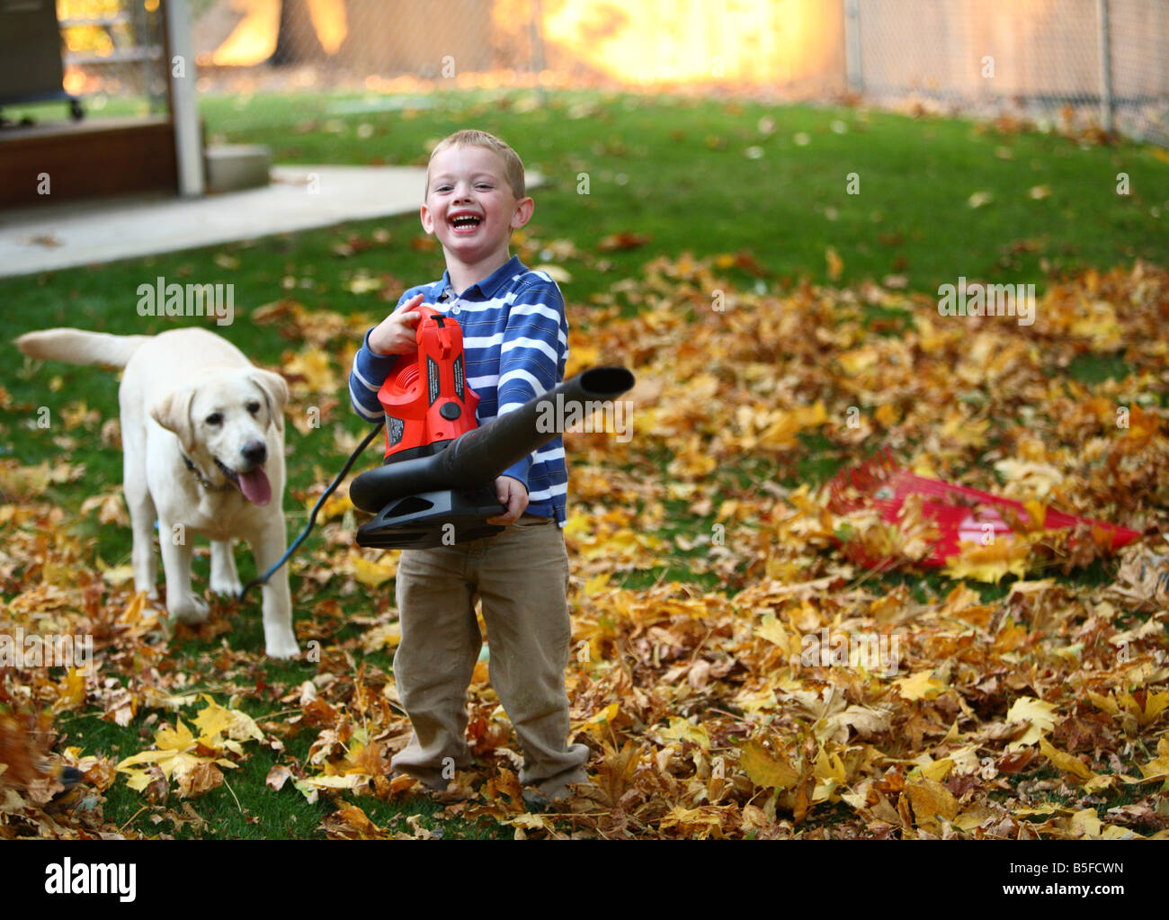 Kleiner Junge in Hof mit Laubbläser Stockfoto