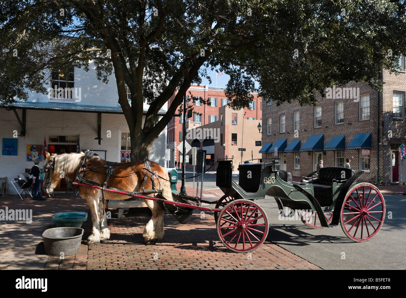 Pferdegespann im City-Markt, Altstadt, Savannah, Georgia, USA Stockfoto