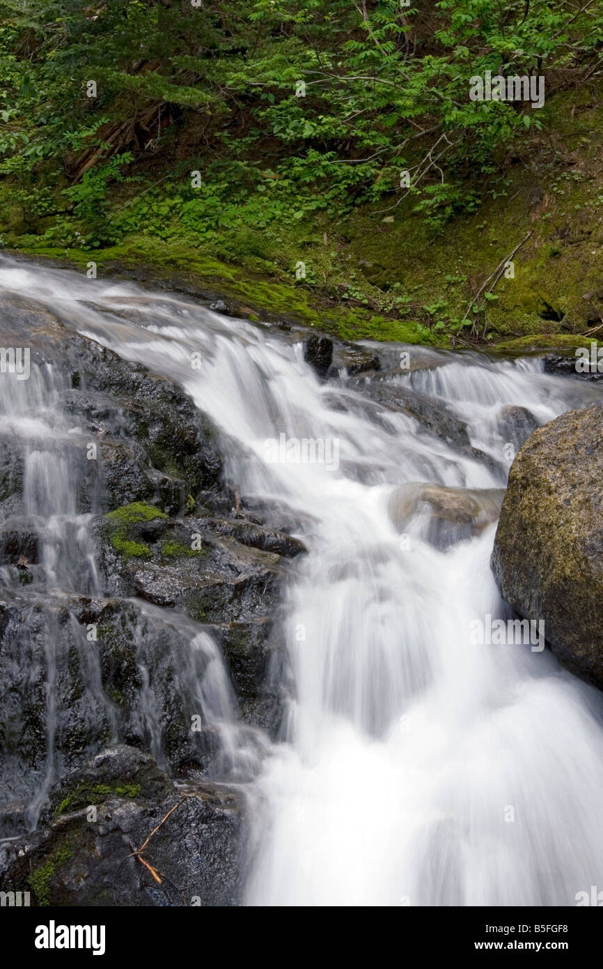 Frisches Wasser Gebirgsstrom in North Cascade Range Washington Stockfoto