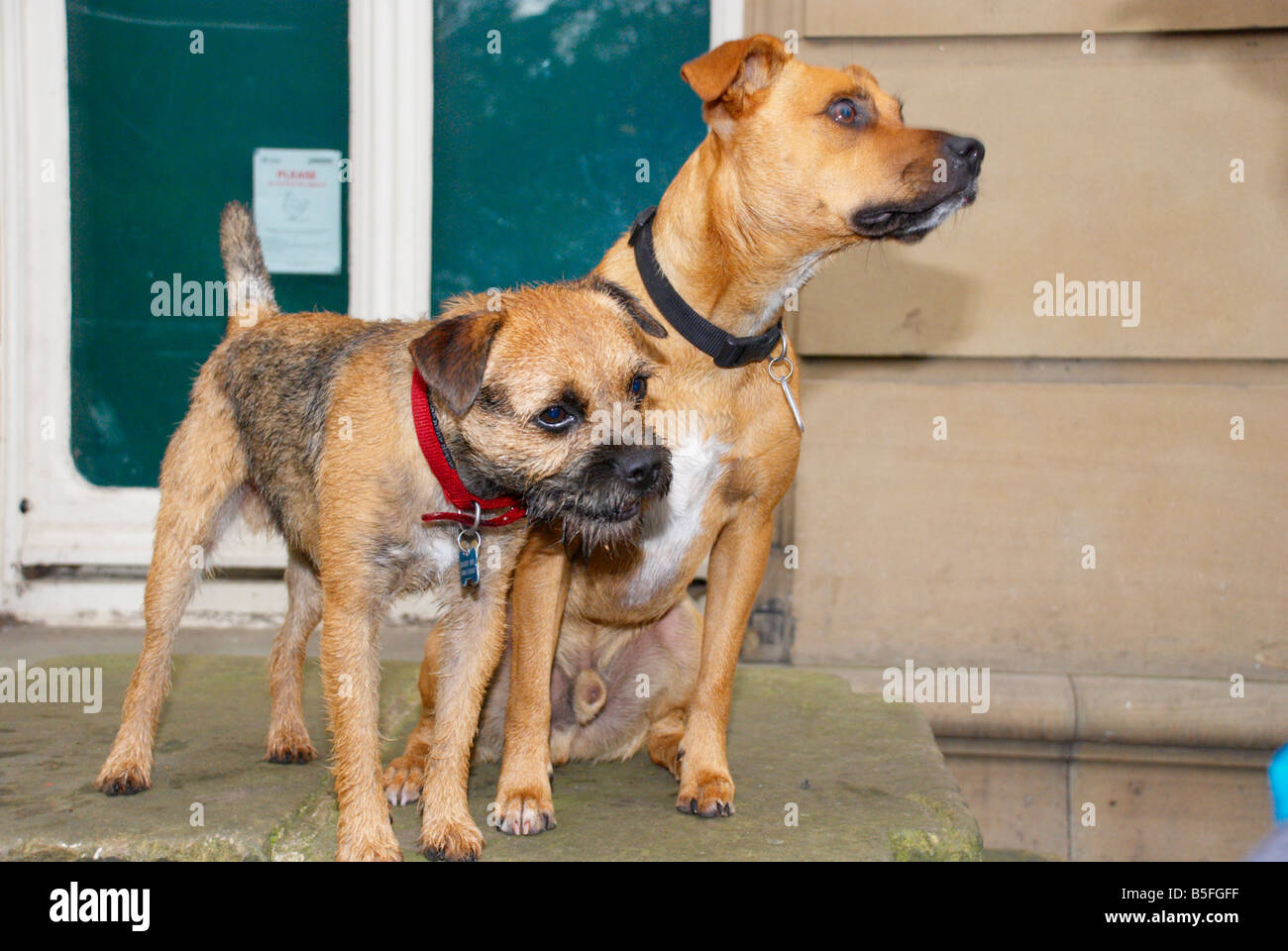 Harry & Sandy stand vor einem Gebäude aus Stein Stockfoto