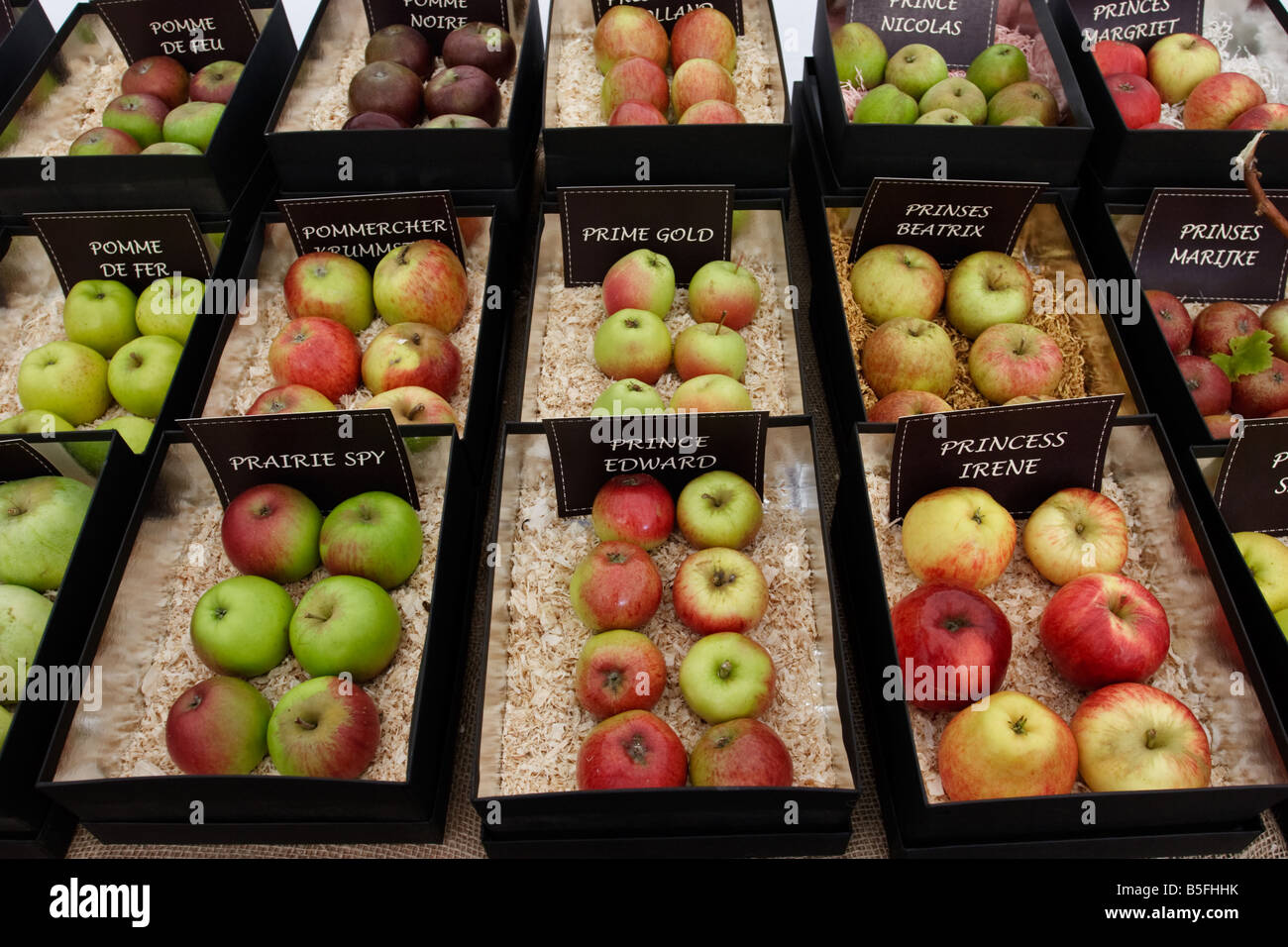 seltene Apfelsorten auf zeigen bei Brogdale Farm, beherbergt die nationale Sammlung, Faversham, Kent, Großbritannien. Stockfoto