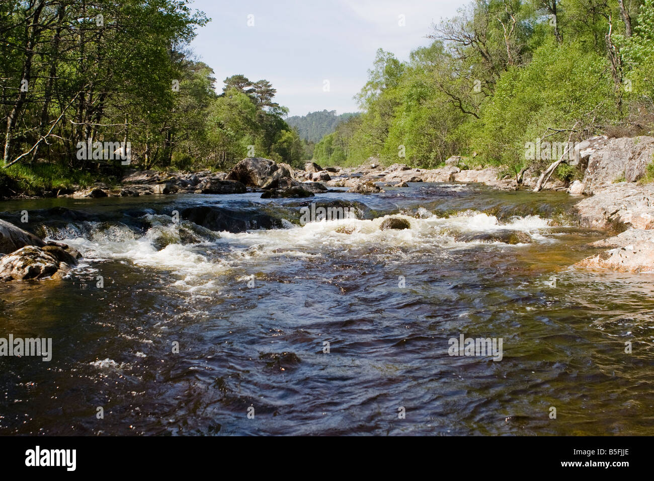 Sommernachmittag am Hund fällt auf den Fluss Affric bei Glen Affric Stockfoto