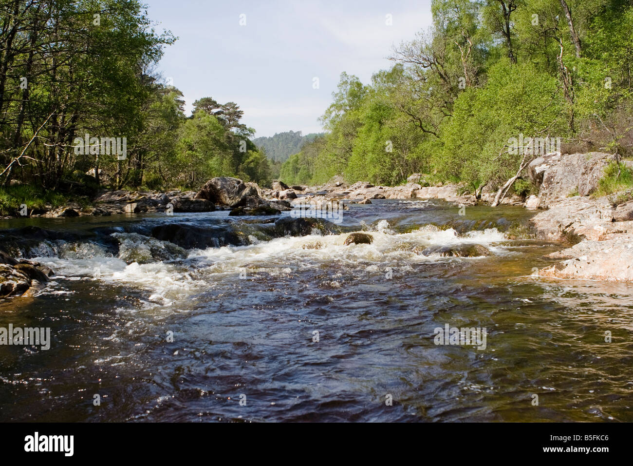 Sommernachmittag am Hund fällt auf den Fluss Affric bei Glen Affric Stockfoto