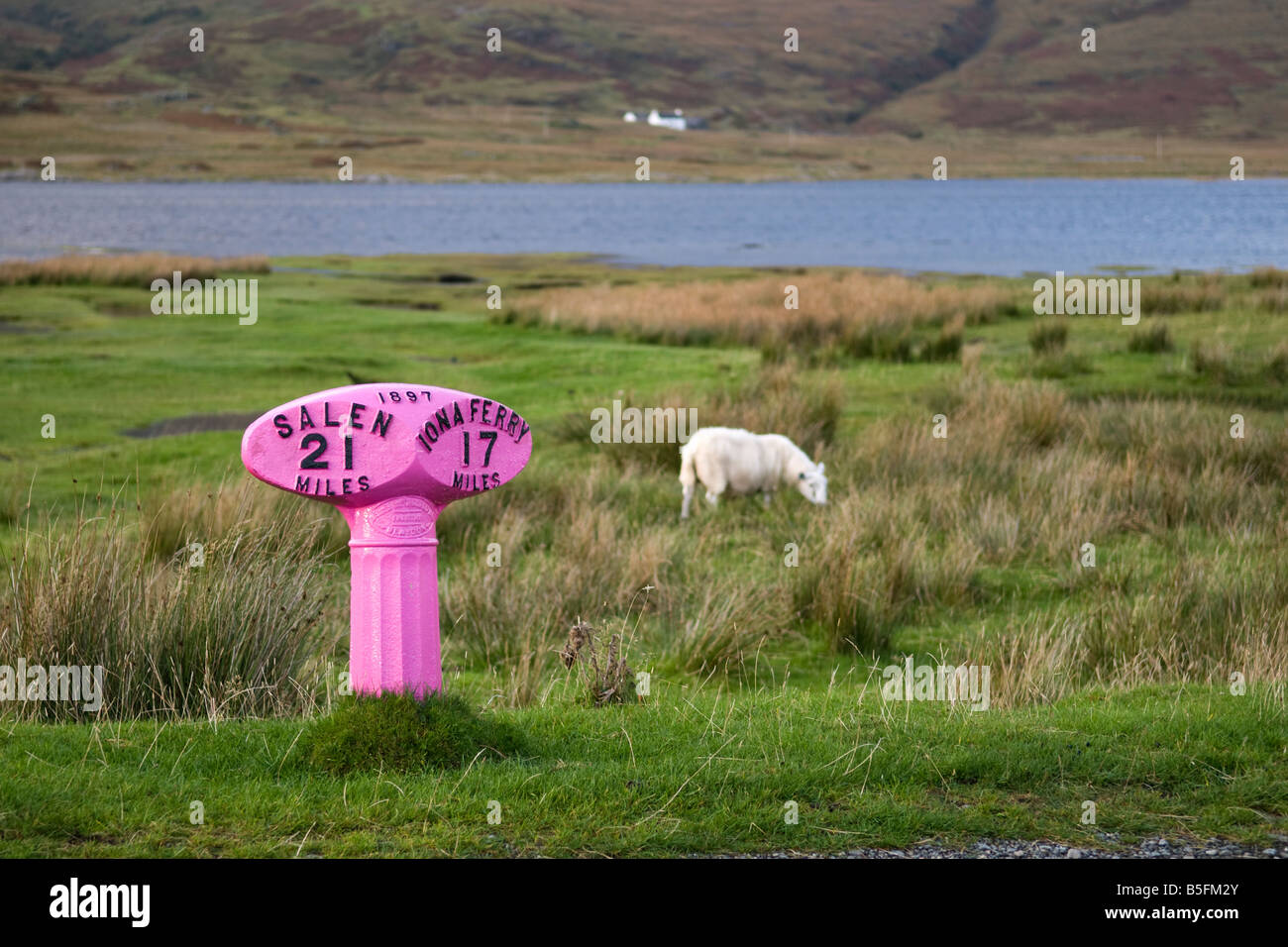 Bunt bemalte rosa Schild zeigt Entfernung in Meilen zu Salen und Iona Fähre von A849 auf der Isle of Mull Stockfoto