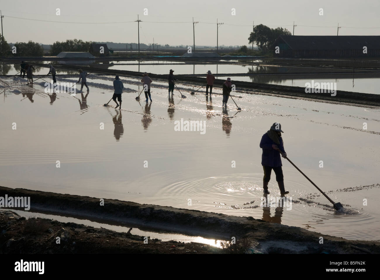 Sammeln Salz, in der Nähe der Region Bangkok. Stockfoto