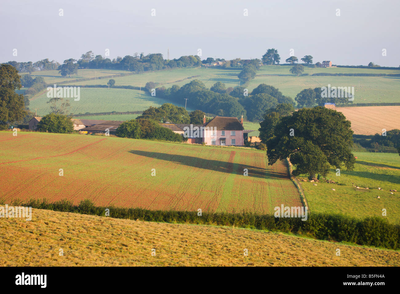 Reetgedeckten Bauernhaus und hügeligen Feldern in der Nähe Crediton in Mitte Devon England Stockfoto