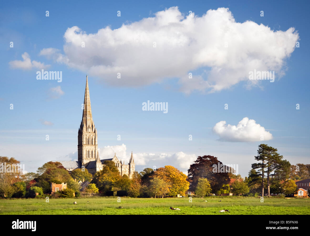 Herbstliche Ansicht von Salisbury Kathedrale Actcross Wasser Wiese Stockfoto