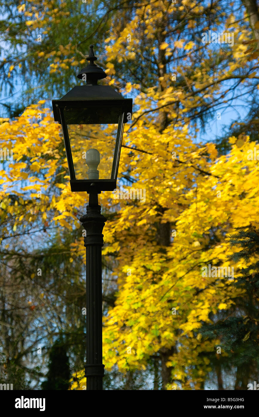 Straßenlaterne im park Stockfoto