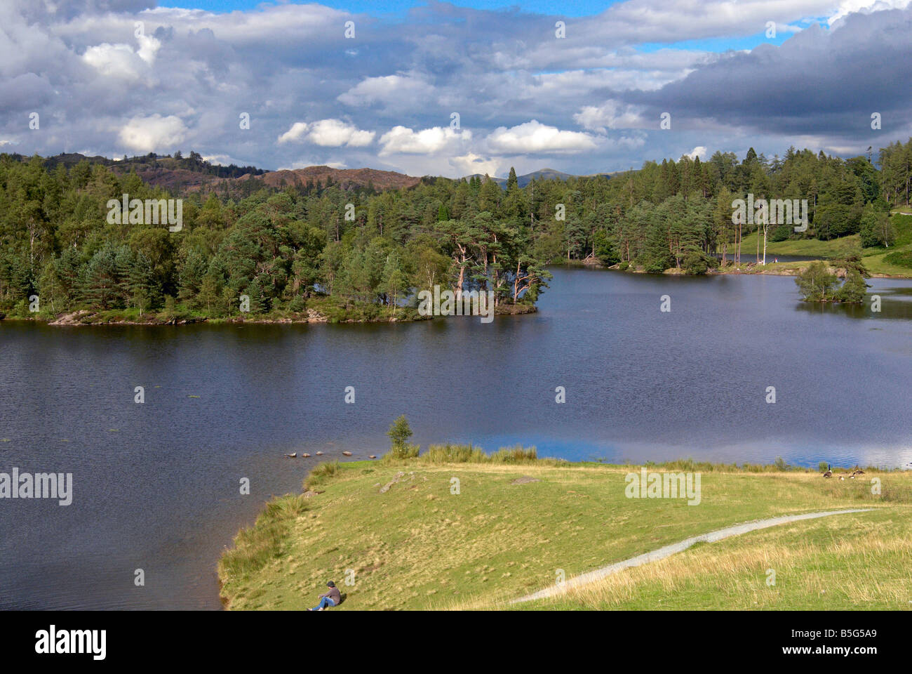 Tarn Hows, bekannter Ausflugsort in der Nähe von Coniston im englischen Lake District, Cumbria Stockfoto