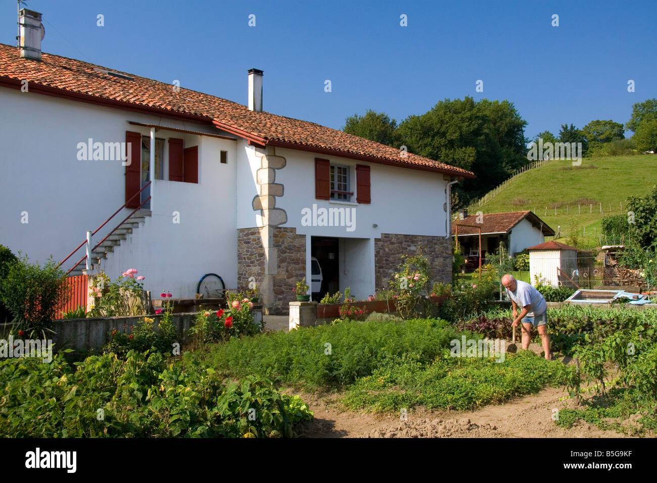 Baskische Mann im Garten in das Dorf von Sare Pyrenäen Atlantiques französischen baskischen Südwest-Frankreich Stockfoto