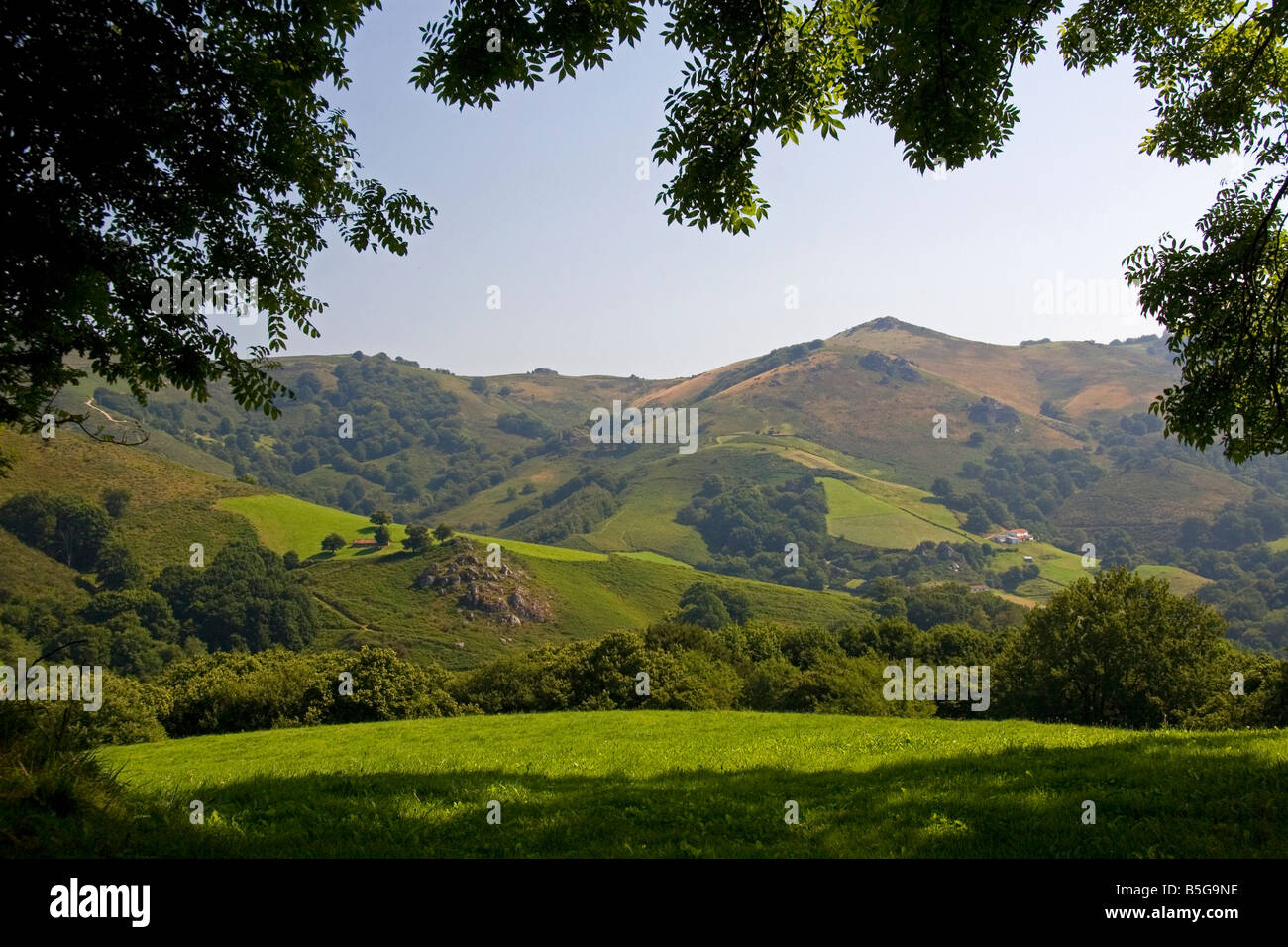 Ländliche Ackerland und sanften Hügeln in Baztan-Tal von Navarra im Norden Spaniens Stockfoto
