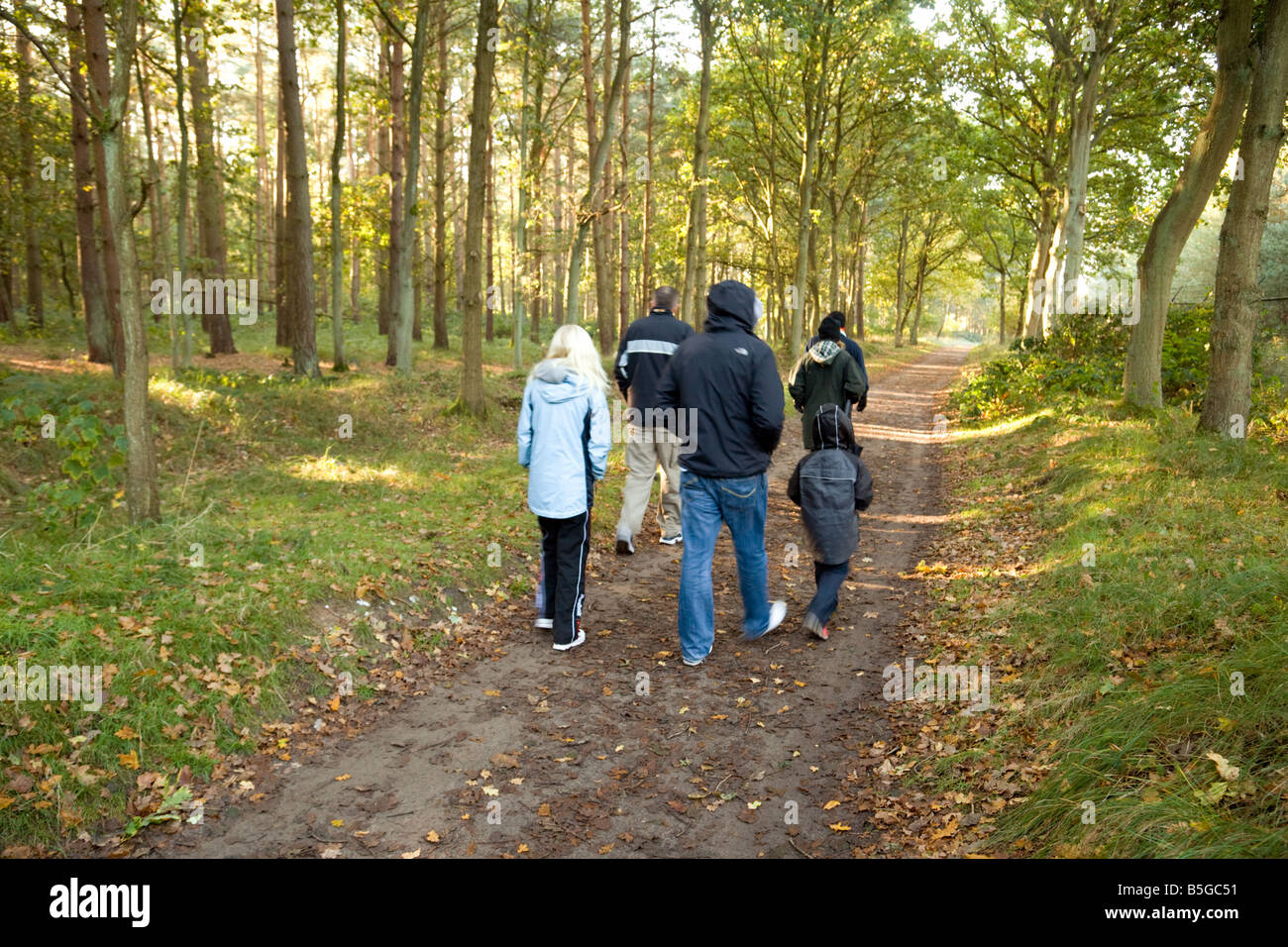 Menschen zu Fuß in den Wald, Thetford Forest, Norfolk, England Stockfoto