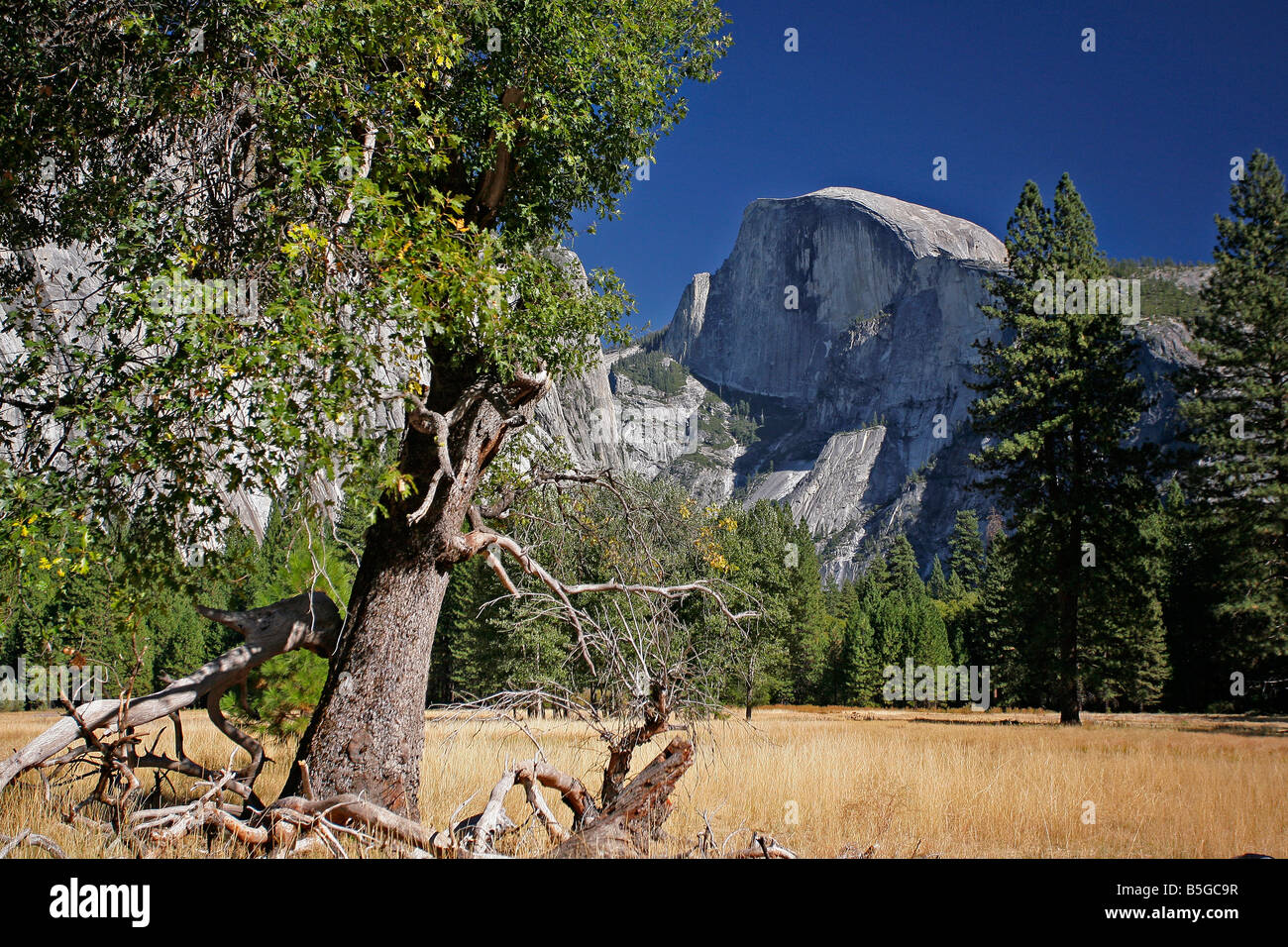 Yosemite-Nationalpark in Kalifornien Stockfoto