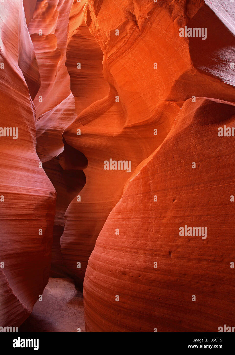 Pfad durch die Slot Canyons Stockfoto