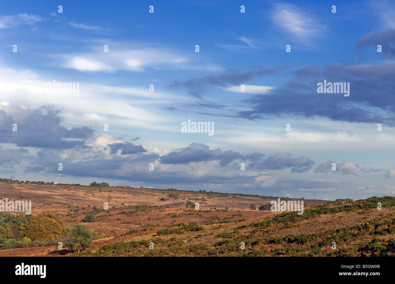 Blauer Himmel über Heide bei Ashdown Forest in East Sussex-Standort für die Abenteuer von Winnie The Pooh Stockfoto