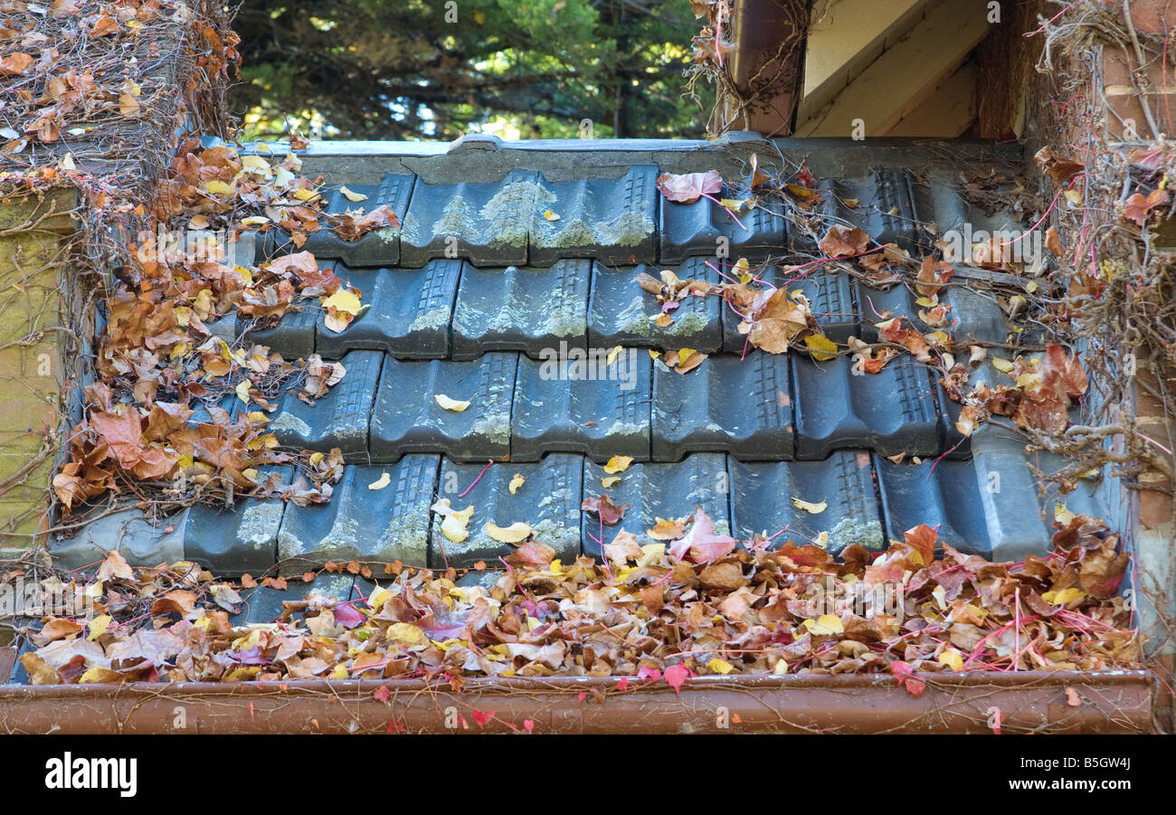 Bild eines Daches mit Blättern in der Gosse Stockfoto
